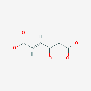 molecular formula C6H4O5-2 B1247331 Fumarylacetate 