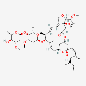 molecular formula C49H74O14 B1247427 (1'R,2R,3S,4'S,6S,8'R,10'E,12'S,13'S,14'E,16'E,20'R,21'R,24'S)-2-丁-2-基-24'-羟基-12'-[(2R,4S,5S,6S)-5-[(2S,4S,5S,6S)-5-羟基-4-甲氧基-6-甲氧基氧杂环-2-基]氧基-4-甲氧基-6-甲氧基氧杂环-2-基]氧基-21'-甲氧基-3,11',13',22'-四甲基螺[2,3-二氢吡喃-6,6'-3,7,19-三氧杂四环[15.6.1.14,8.020,24]五环-10,14,16,22-四烯]-2'-酮 