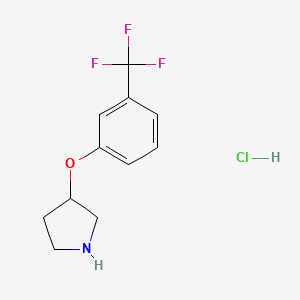 molecular formula C11H13ClF3NO B12474288 3-[3-(Trifluoromethyl)phenoxy]pyrrolidine hydrochloride 