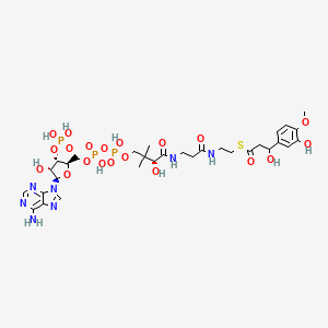 molecular formula C31H46N7O20P3S B1247435 3-羟基-3-(3-羟基-4-甲氧基苯基)丙酰辅酶A 