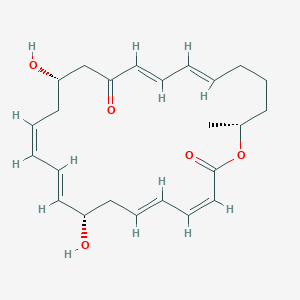 molecular formula C24H32O5 B1247499 Macrolactin E 