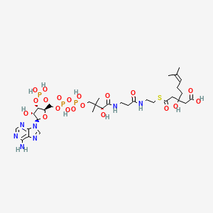 molecular formula C32H52N7O20P3S B1247707 3-羟基-3-(4-甲基戊-3-烯-1-基)戊二酰辅酶 A 