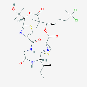 molecular formula C29H40Cl2N4O7S2 B1247715 Lyngbyabellin A 