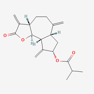molecular formula C19H24O4 B1247805 Zaluzanin C isobutyrate 