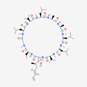 molecular formula C63H111N11O12 B1247831 (3S,6S,9S,12S,15S,18S,21S,24S,30S,33S)-30-ethyl-33-[(1R,2R,4E)-1-hydroxy-2-methylhepta-4,6-dienyl]-1,4,7,10,12,15,19,25,28-nonamethyl-6,9,18,24-tetrakis(2-methylpropyl)-3,21-di(propan-2-yl)-1,4,7,10,13,16,19,22,25,28,31-undecazacyclotritriacontane-2,5,8,11,14,17,20,23,26,29,32-undecone 