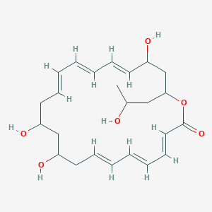 molecular formula C24H34O6 B1247832 wortmannilactone C 