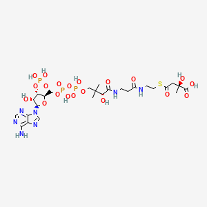 molecular formula C26H42N7O20P3S B1247887 (3S)-柠檬酸苹果酸辅酶 A 
