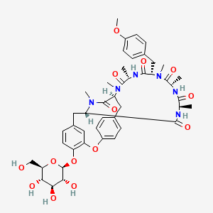 RA-Xii