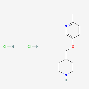 2-Methyl-5-(4-piperidinylmethoxy)pyridine dihydrochloride