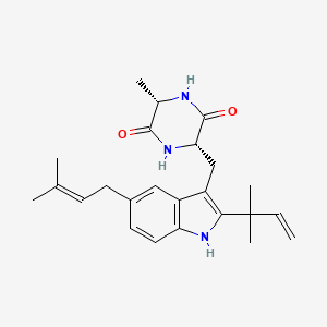 tardioxopiperazine A