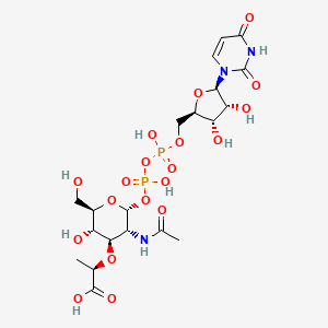 molecular formula C20H31N3O19P2 B1247981 (2r)-2-{[(2r,3r,4r,5s,6r)-3-(Acetylamino)-2-{[(S)-{[(R)-{[(2r,3s,4r,5r)-5-(2,4-Dioxo-3,4-Dihydropyrimidin-1(2h)-Yl)-3,4-Dihydroxytetrahydrofuran-2-Yl]methoxy}(Hydroxy)phosphoryl]oxy}(Hydroxy)phosphoryl]oxy}-5-Hydroxy-6-(Hydroxymethyl)tetrahydro-2h-Pyran-4-Yl]oxy}propanoic Acid 