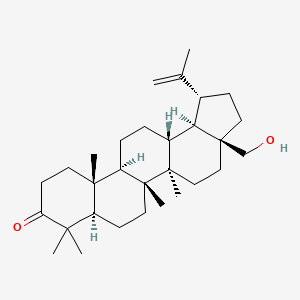 molecular formula C30H48O2 B1248025 Betulone CAS No. 7020-34-0