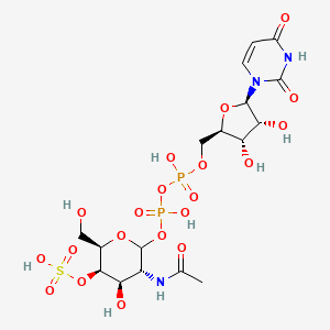 molecular formula C17H27N3O20P2S B1248059 UDP-N-乙酰-D-半乳糖胺 4-硫酸盐 