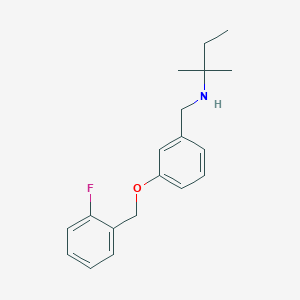 molecular formula C19H24FNO B12480728 N-{3-[(2-fluorobenzyl)oxy]benzyl}-2-methylbutan-2-amine 