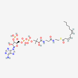 molecular formula C33H54N7O17P3S B1248111 cis,cis-dodeca-3,6-dienoyl-CoA 