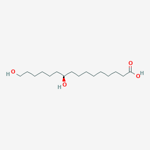 molecular formula C16H32O4 B1248136 (R)-10,16-Dihydroxyhexadecanoic acid 