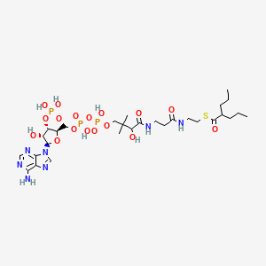 molecular formula C29H50N7O17P3S B1248206 Valproyl-CoA 