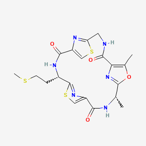 Tenuecyclamide C