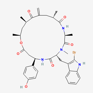 molecular formula C36H43BrN4O7 B1248238 海绵肽B 