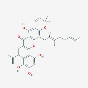 molecular formula C35H38O7 B1248260 Artoindonesianin V 