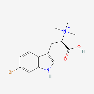 molecular formula C14H18BrN2O2+ B1248261 [(1R)-2-(6-bromo-1H-indol-3-yl)-1-carboxyethyl]-trimethylazanium 