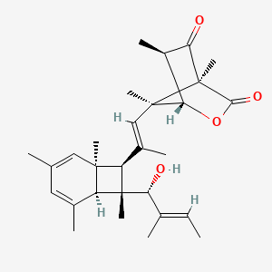 molecular formula C29H40O4 B1248279 Shimalactone A 