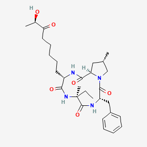 (3S,6S,9S,12R,14S)-3-benzyl-6-ethyl-9-[(7R)-7-hydroxy-6-oxooctyl]-6,14-dimethyl-1,4,7,10-tetrazabicyclo[10.3.0]pentadecane-2,5,8,11-tetrone