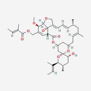 molecular formula C40H56O10 B1248309 [(1R,3'R,4S,5'S,6S,6'S,8R,10E,13R,14E,16E,20R,21R,24S)-6'-[(E)-but-2-en-2-yl]-3',24-dihydroxy-21-methoxy-5',11,13-trimethyl-2-oxospiro[3,7,19-trioxatetracyclo[15.6.1.14,8.020,24]pentacosa-10,14,16,22-tetraene-6,2'-oxane]-22-yl]methyl (E)-2-methylbut-2-enoate 