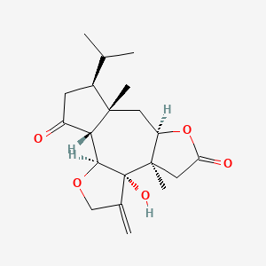 molecular formula C20H28O5 B1248343 三萜内酯 A 
