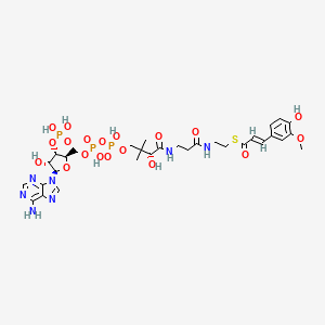 molecular formula C31H44N7O19P3S B1248347 反式-阿魏酰辅酶 A 