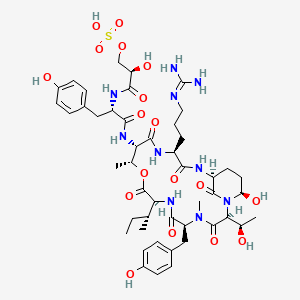 Oscillapeptin J