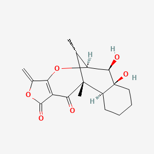 Tetrodecamycin