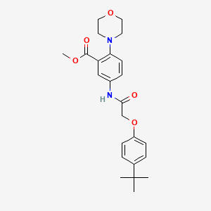 Methyl 5-{[(4-tert-butylphenoxy)acetyl]amino}-2-(morpholin-4-yl)benzoate