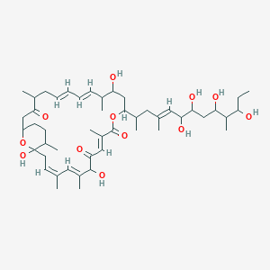 molecular formula C48H76O12 B1248555 Halstoctacosanolide A 