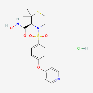 molecular formula C18H22ClN3O5S2 B1248558 Prinomastat hydrochloride CAS No. 1435779-45-5