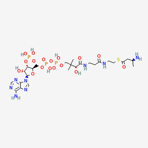 L-3-aminobutanoyl-CoA