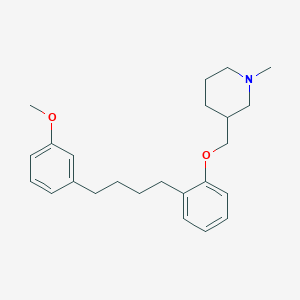 molecular formula C24H33NO2 B1248577 1-Methyl-3-[2-[4-(3-methoxyphenyl)butyl]phenoxymethyl]piperidine 
