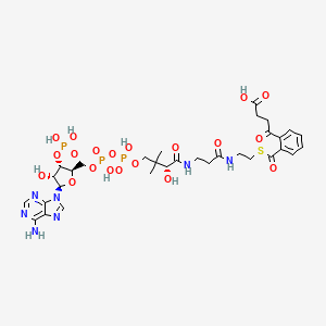 molecular formula C32H44N7O20P3S B1248601 ortho-Succinylbenzoyl-coa 