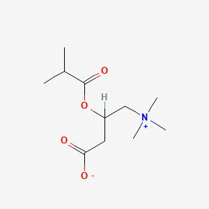 molecular formula C11H21NO4 B1248608 3-[(2-Methylpropanoyl)oxy]-4-(trimethylazaniumyl)butanoate 