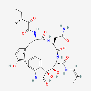 molecular formula C33H38N6O10 B1248633 (10S,11R,12S,15S,18S)-15-(2-amino-2-oxoethyl)-10,11,23-trihydroxy-18-{[(3R)-3-methyl-2-oxopentanoyl]amino}-9,14,17-trioxo-N-[(1Z)-prop-1-en-1-yl]-8,13,16-triazatetracyclo[18.3.1.0(2,7).0(6,10)]tetracosa-1(24),2,4,6,20,22-hexaene-12-carboxamide 