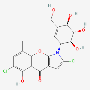 molecular formula C19H17Cl2NO7 B1248640 2,6-dichloro-5-hydroxy-8-methyl-1-[(1R,4R,5S,6S)-4,5,6-trihydroxy-3-(hydroxymethyl)cyclohex-2-en-1-yl]chromeno[2,3-b]pyrrol-4-one 