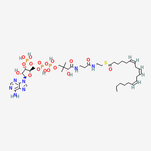 molecular formula C39H64N7O17P3S B1248716 gamma-Linolenoyl-CoA 