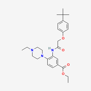 Ethyl 3-{[(4-tert-butylphenoxy)acetyl]amino}-4-(4-ethylpiperazin-1-yl)benzoate