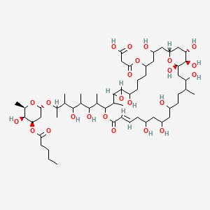 molecular formula C57H98O24 B1248862 3-[[(1R,17E,30S,31R,32S)-14-[3,5-dihydroxy-7-[(2S,4R,5S,6R)-5-hydroxy-6-methyl-4-pentanoyloxyoxan-2-yl]oxy-4,6-dimethyloctan-2-yl]-3,9,20,22,24,28,30,31,32-nonahydroxy-13,27-dimethyl-16-oxo-11,15,34-trioxatricyclo[28.3.1.010,12]tetratriacont-17-en-5-yl]oxy]-3-oxopropanoic acid 