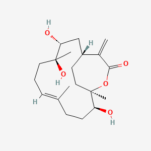 molecular formula C20H32O5 B1248892 Capillolide 