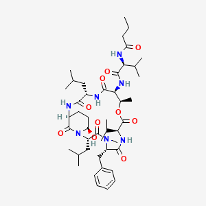 molecular formula C45H71N7O10 B1248901 Tasipeptin A 