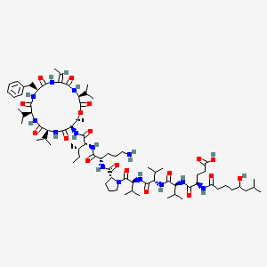 molecular formula C77H126N14O18 B1248915 (4R)-5-[[(2S)-1-[[(2S)-1-[[(2S)-1-[(2R)-2-[[(2S)-5-amino-1-[[(2R,3S)-1-[[(3S,6Z,9S,12S,15S,18R,19R)-9-benzyl-6-ethylidene-19-methyl-2,5,8,11,14,17-hexaoxo-3,12,15-tri(propan-2-yl)-1-oxa-4,7,10,13,16-pentazacyclononadec-18-yl]amino]-3-methyl-1-oxopentan-2-yl]amino]-1-oxopentan-2-yl]carbamoyl]pyrrolidin-1-yl]-3-methyl-1-oxobutan-2-yl]amino]-3-methyl-1-oxobutan-2-yl]amino]-3-methyl-1-oxobutan-2-yl]amino]-4-[(5-hydroxy-7-methyloctanoyl)amino]-5-oxopentanoic acid 