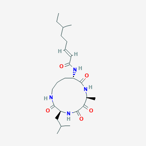 molecular formula C24H40N4O5 B1248973 (E)-6-methyl-N-[(3S,7S,10S)-7-methyl-3-(2-methylpropyl)-2,5,6,9-tetraoxo-1,4,8-triazacyclotridec-10-yl]oct-2-enamide 