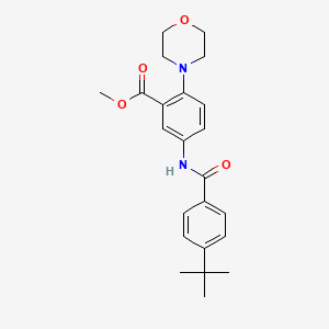 molecular formula C23H28N2O4 B12491587 Methyl 5-{[(4-tert-butylphenyl)carbonyl]amino}-2-(morpholin-4-yl)benzoate 