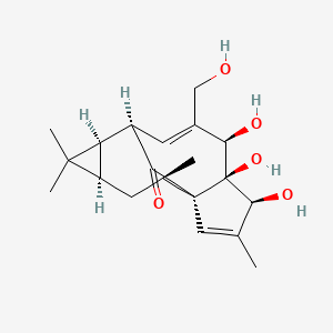 molecular formula C20H28O5 B1249251 Isoingenol 
